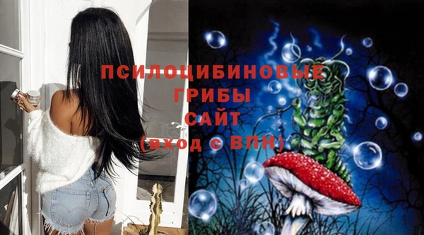 прущий лед Алзамай