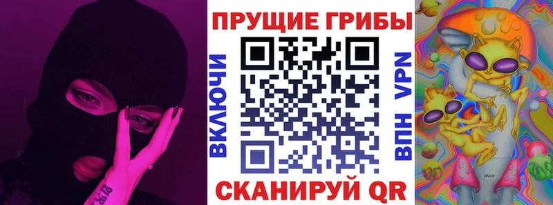 omg рабочий сайт  как найти закладки  Верхоянск  Галлюциногенные грибы мицелий 
